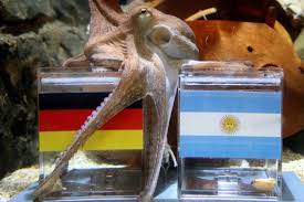 Image result for german octopus predicts football final