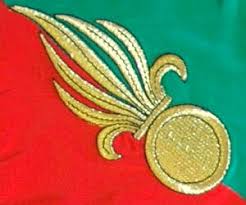 Image result for World Foreign Legions