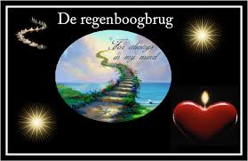 Afbeeldingsresultaat voor regenboogbrug hond