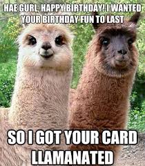 Image result for funny birthday