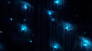 Tasmaniens wundersame Tierwelt | ORF 2 | 26.04.2026 | TV-Programm