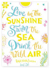Image result for summer quotes