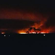 DIRECT - Incendie dans les Fagnes: Le feu de forêt s'aggrave, Le roi Philippe adresse ses remerciements aux secouristes