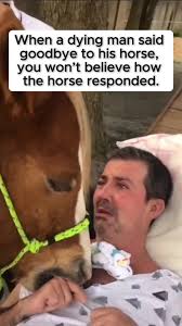 learnontiktok #truestory #storytime #fyp #foryou | TikTok