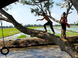 Image result for air dari pegunungan di air ke sawah