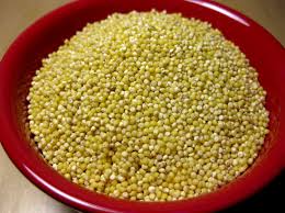 Image result for MILLET