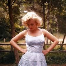 Marilyn Monroe y su marido Arthur Miller fotografiados en su casa de Amagansett, 1957. 📷🥰🌷 #familyfriendly #collectibles #marilynmonroe #monroe