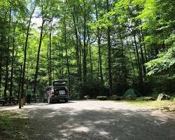 Tea Creek Campground