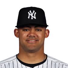 Jasson Dominguez Lineup Updates: A Fantasy Baseball Overview