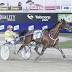 Ballarat Pacing Cup field and barrier draw - Smolda gets advantage ...