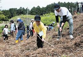 News source: 中日新聞Web