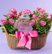 images