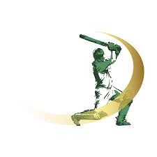 Image result for cricket