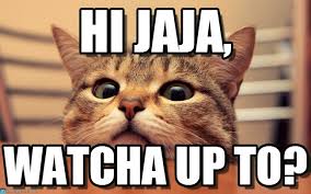 Image result for hi meme