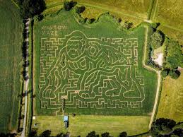 Giant gorilla maze celebrates Sir David Attenborough turning 100