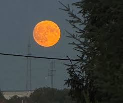 mond heute