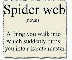 Spider Web Noun | Quotes.... | Pinterest | Spider Webs, Spiders ... via Relatably.com