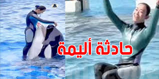 Tuniscope - News update