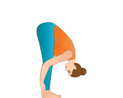 Image of Uttanasana  Second Side