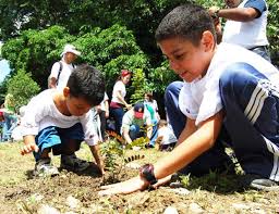 Resultado de imagen para siembra de arbol
