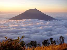 Hasil gambar untuk pecinta alam indonesia