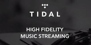 Image result for Tidal