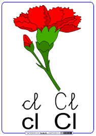 Resultado de imagen de silabas cla cle cli clo clu