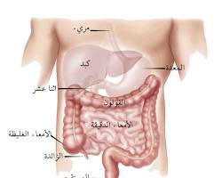 صورة الأمعاء (جسم الإنسان)