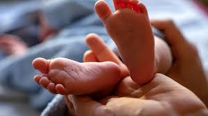 Trend Google: neonato