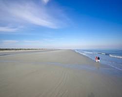 Image of Cumberland Island, Georgia beach