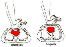 Resultado de imagen de masaje cardiaco externo en adulto