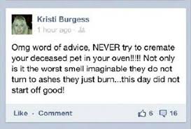 Funny Facebook Status - Funny Pictures - Joke King via Relatably.com