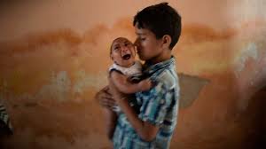 Resultado de imagem para mosquito da zika virus