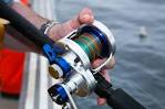 Daiwa Saltiga Lever Drag 2-Speed Reels - Melton International Tackle