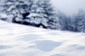 Winter Weather Warnings