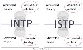 نتيجة بحث الصور عن ‪intj vs intp‬‏