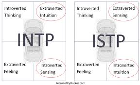 نتيجة بحث الصور عن ‪intj vs intp‬‏