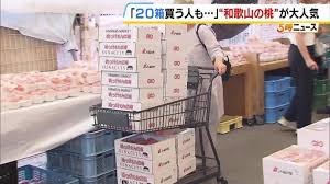 MBS 毎日放送 - News update