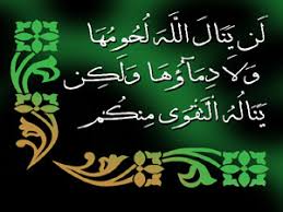 كيفية تقسيم الاضحيه