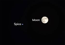 That bright star near the Flower Moon tonight? That's Spica, one of the brightest stars of springtime