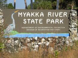 Image result for myakka river state park