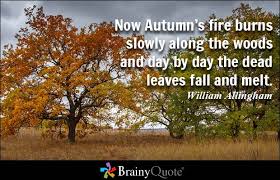 Image result for List of Idioms and Phrases with 'FIRE'