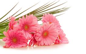 Image result for bouquet of flowers