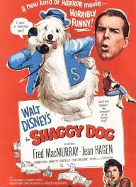 Image result for shaggy dog
