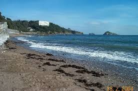 Meadfoot Beach