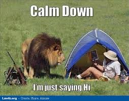 Image result for hi meme