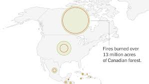 Global Deforestation Slows, W.R.I. Report Finds. But Wildfires Are Taking a Toll.