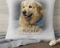 cushion with a pet's photo on itの画像