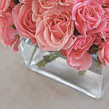 ���� ���� ������ �� ���� ������