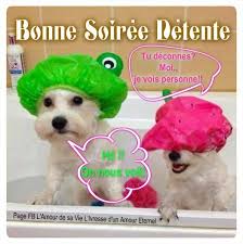 Résultat de recherche d'images pour "images bonne soirée chère amie"